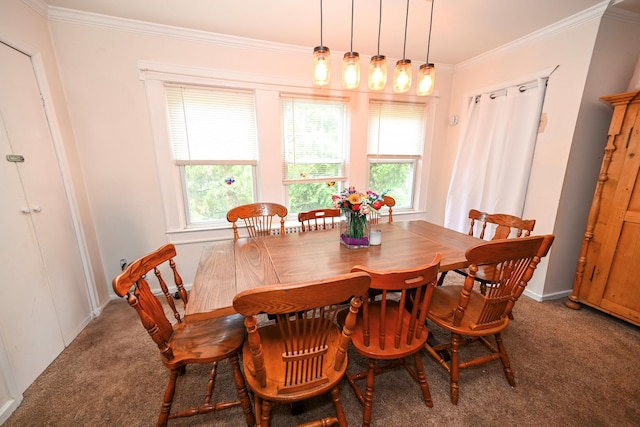 17 Hammond Rd, Glen Cove, NY 11542 - photo 9