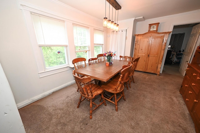 17 Hammond Rd, Glen Cove, NY 11542 - photo 10