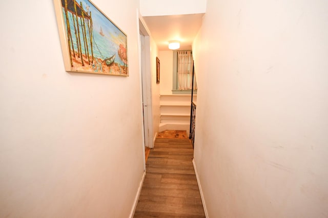 17 Hammond Rd, Glen Cove, NY 11542 - photo 15