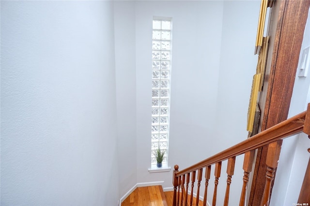 6315 Forest Ave Unit 1A, Ridgewood, NY 11385 - photo 11