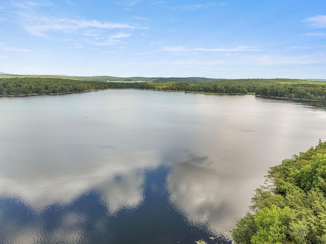 232 S Shore Dr, Rock Hill, NY 12790 - photo 22
