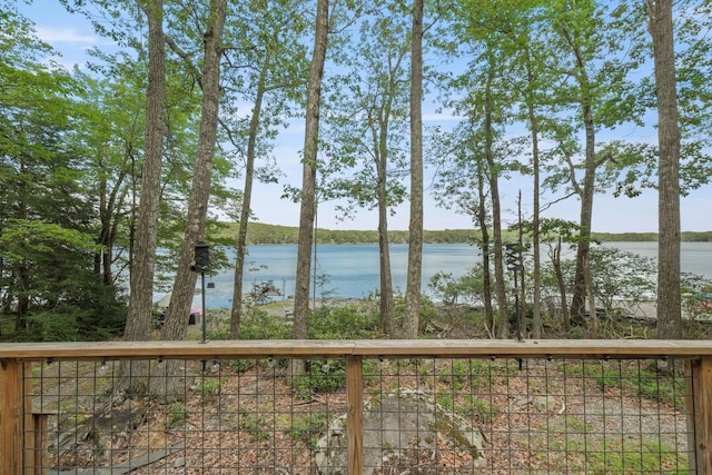 232 S Shore Dr, Rock Hill, NY 12790 - photo 26
