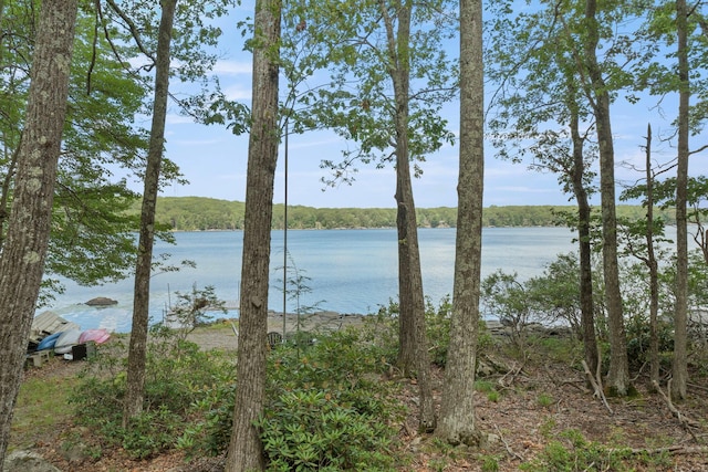 232 S Shore Dr, Rock Hill, NY 12790 - photo 27