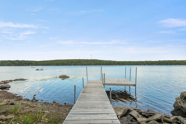 232 S Shore Dr, Rock Hill, NY 12790 - photo 31