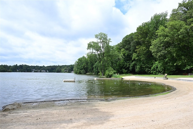 347 Lake Dr, Putnam Valley, NY 10537 - photo 22
