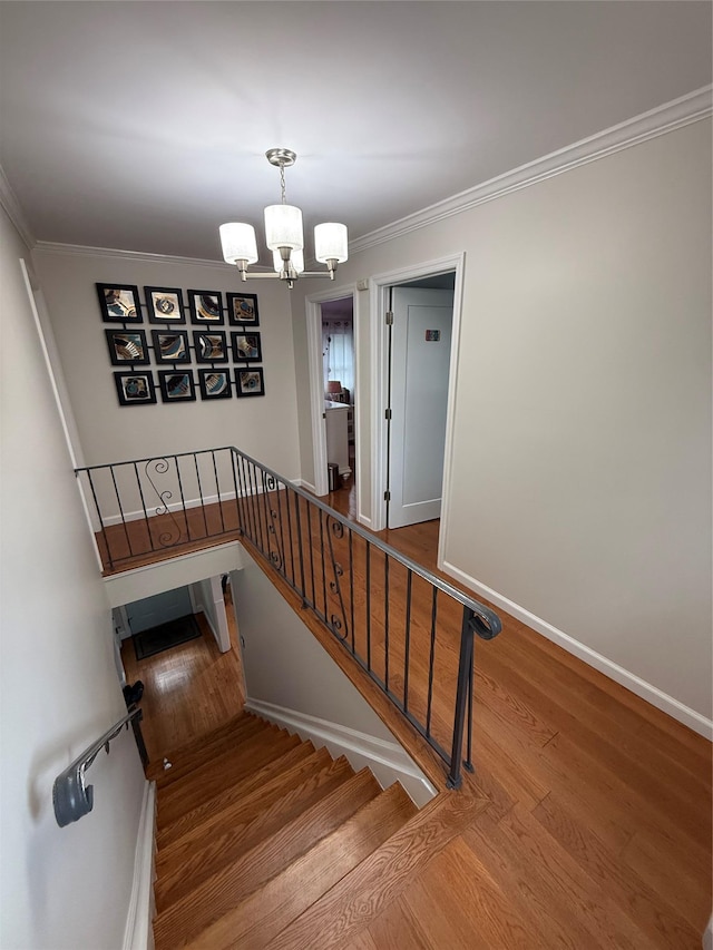 678 Bellevue Ave N, Yonkers, NY 10703 - photo 17