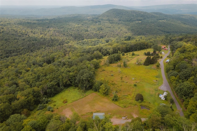 332 E Mountain Rd, Grahamsville, NY 12740 - photo 1