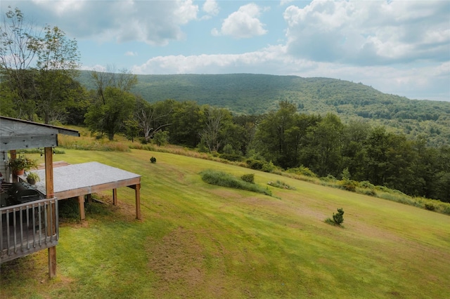332 E Mountain Rd, Grahamsville, NY 12740 - photo 9