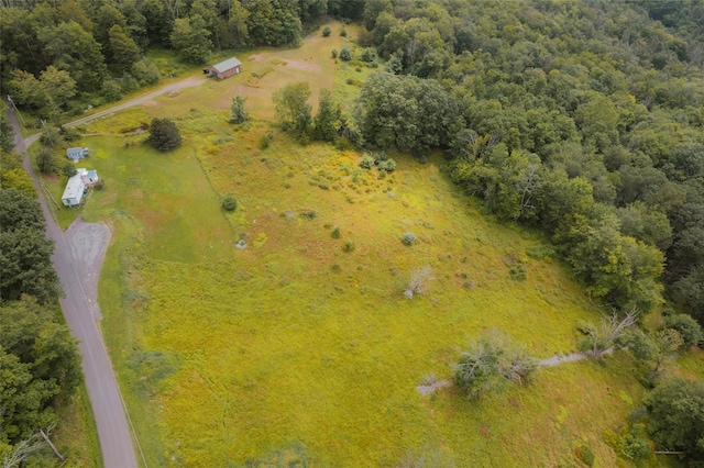 332 E Mountain Rd, Grahamsville, NY 12740 - photo 10