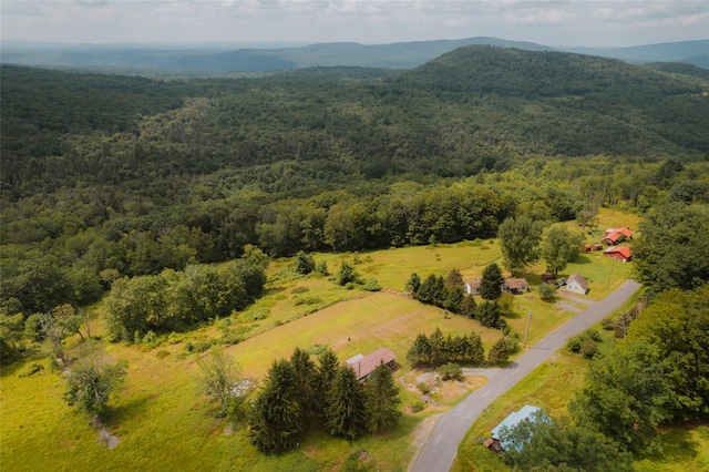 332 E Mountain Rd, Grahamsville, NY 12740 - photo 11