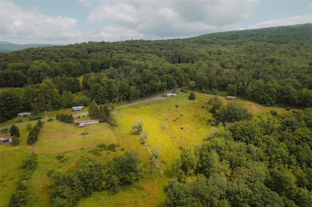 332 E Mountain Rd, Grahamsville, NY 12740 - photo 13