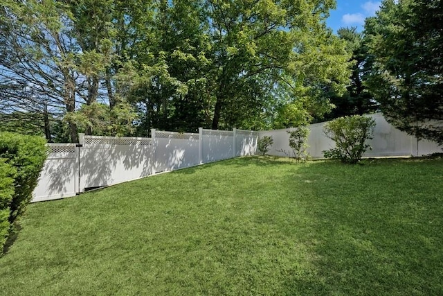 8 Cedar Pl, Kings Park, NY 11754 - photo 24