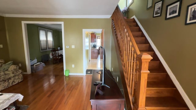 8259 172nd St, Jamaica, NY 11432 - photo 9