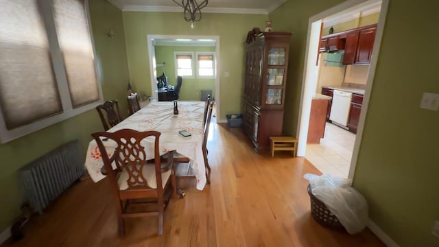 8259 172nd St, Jamaica, NY 11432 - photo 12