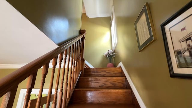 8259 172nd St, Jamaica, NY 11432 - photo 22
