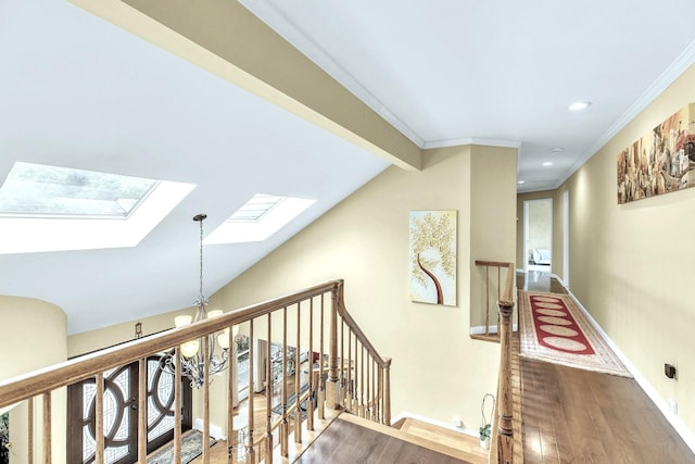 9 Hill And Tree Ct, Melville, NY 11747 - photo 17