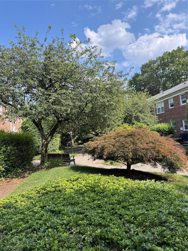 130 Theodore Fremd Ave Unit 10A, Rye, NY 10580 - photo 12