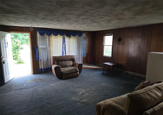 1098 State Route 42, Sparrowbush, NY 12780 - photo 4