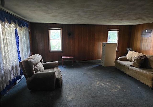 1098 State Route 42, Sparrowbush, NY 12780 - photo 6