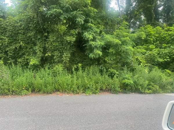 COATESAVEPORTIONRD Ave, Lake Ronkonkoma, NY - photo 1