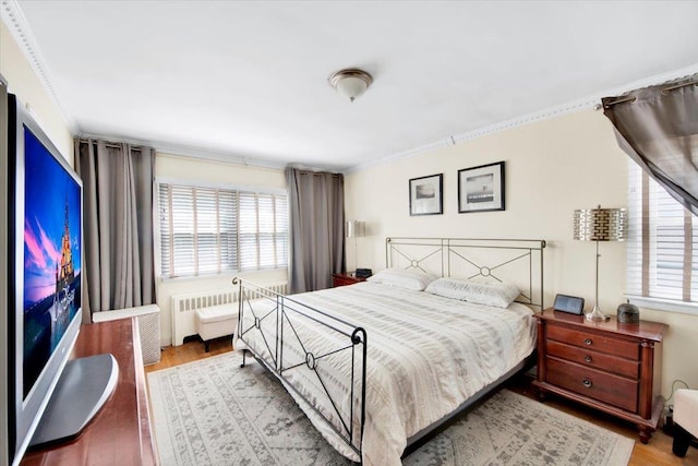 532 Saint Lawrence Ave, Bronx, NY 10473 - photo 13