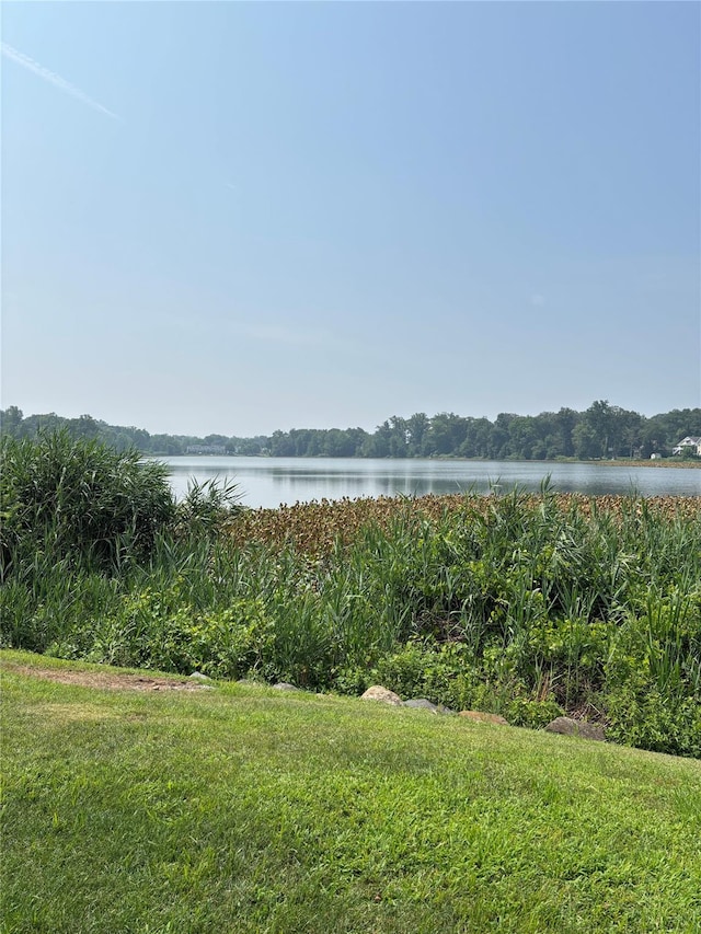 5 Cygnet Rd, Congers, NY 10920 - photo 37