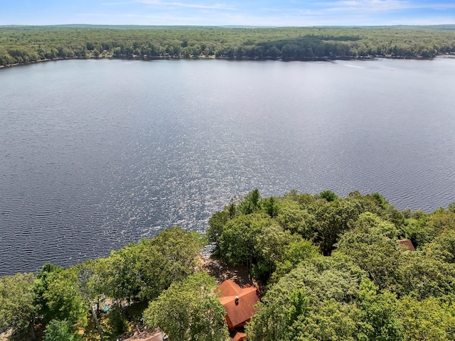 194 Canal Rd, Wurtsboro, NY 12790 - photo 36