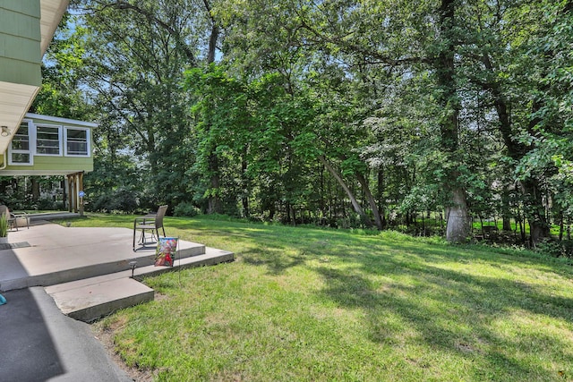 313 Chestnut Ave, New Windsor, NY 12553 - photo 28