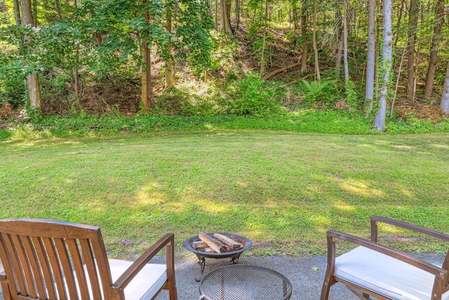 32 Redwood Rd, Saugerties, NY 12477 - photo 21