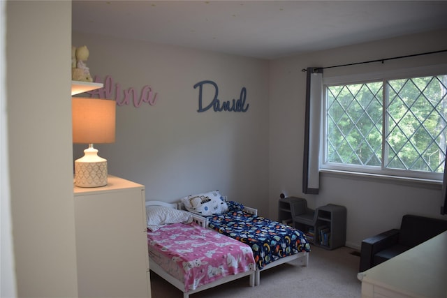 119 Stringham Rd Unit 11, Lagrangeville, NY 12540 - photo 14