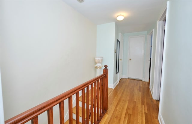 3000 Radcliff Ave, Bronx, NY 10469 - photo 22