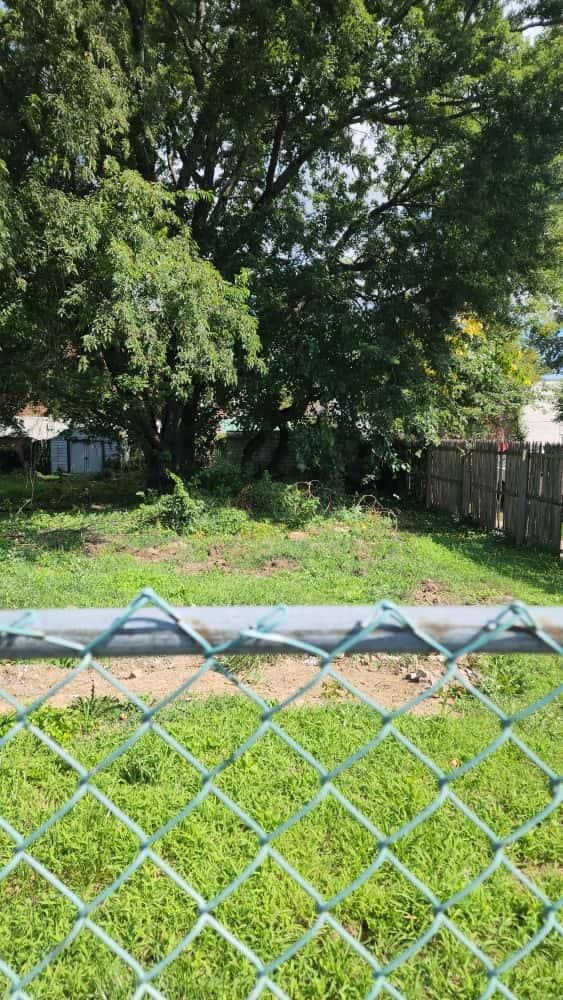 1875 Lacombe Ave, Bronx, NY 10473 - photo 3