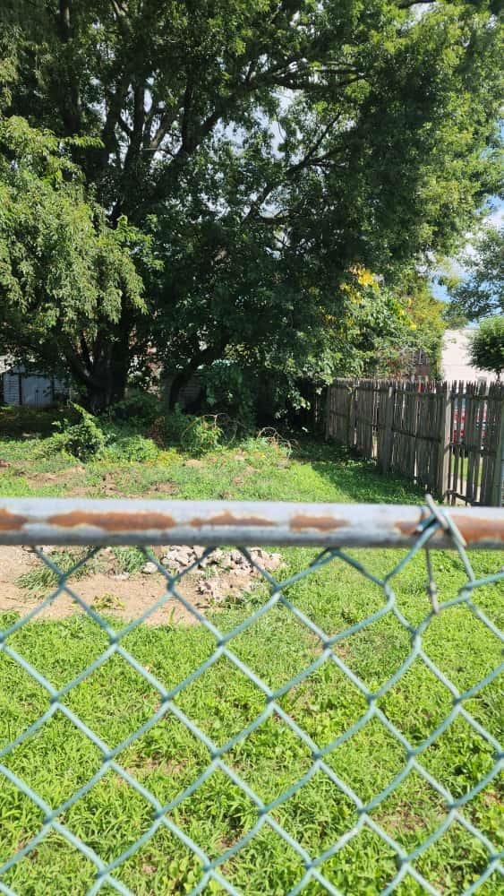1875 Lacombe Ave, Bronx, NY 10473 - photo 5