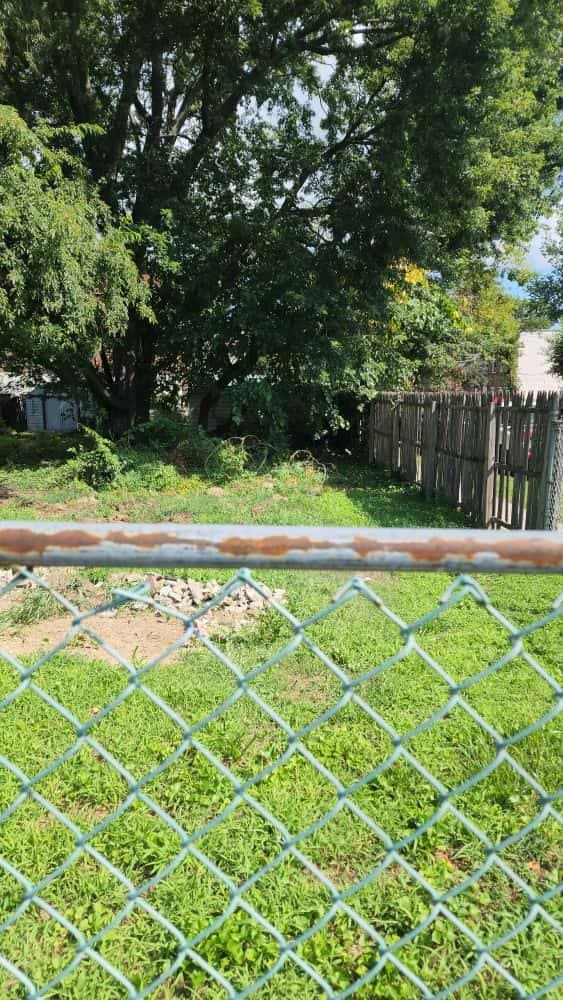 1875 Lacombe Ave, Bronx, NY 10473 - photo 9