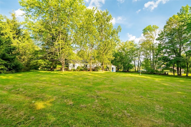 704 Cattail Rd, Livingston Manor, NY 12758 - photo 42