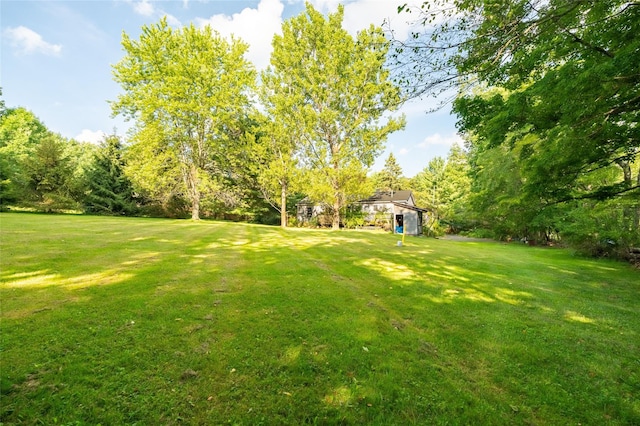 704 Cattail Rd, Livingston Manor, NY 12758 - photo 43