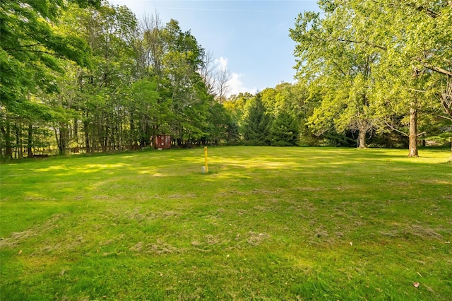 704 Cattail Rd, Livingston Manor, NY 12758 - photo 44