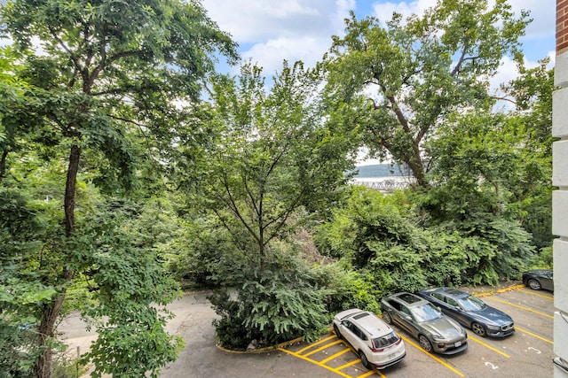 2465 Palisade Ave Unit 1J, Bronx, NY 10463 - photo 17
