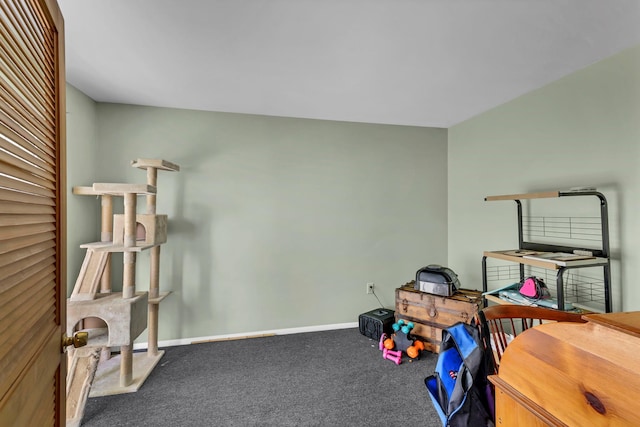5 Kenny Ln, Kiamesha Lake, NY 12751 - photo 14