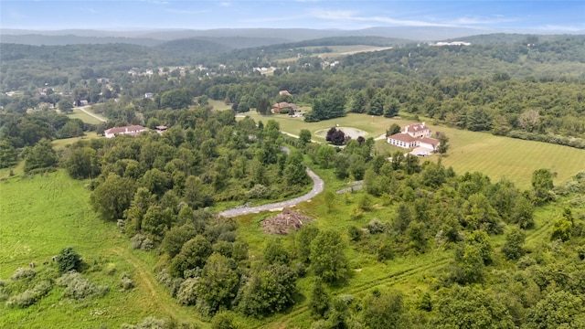S Smith Rd, Lagrangeville, NY 12540 - photo 4