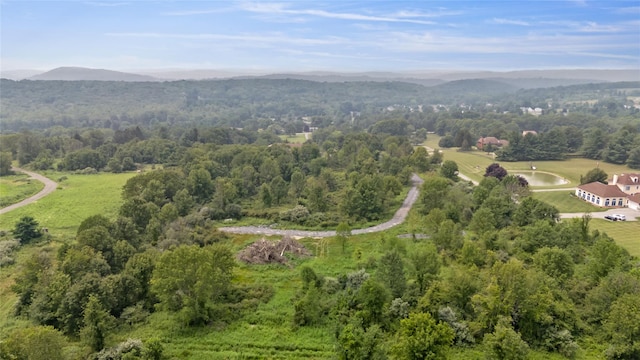 S Smith Rd, Lagrangeville, NY 12540 - photo 5