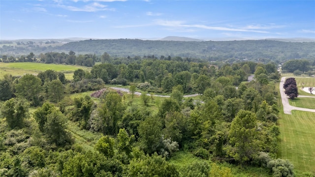 S Smith Rd, Lagrangeville, NY 12540 - photo 6