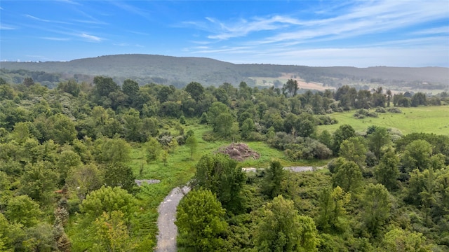 S Smith Rd, Lagrangeville, NY 12540 - photo 7