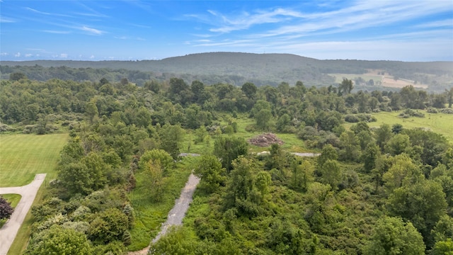 S Smith Rd, Lagrangeville, NY 12540 - photo 8