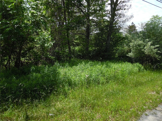 TBD Wurtsboro Mountain Rd, Wurtsboro, NY 12790 - photo 4