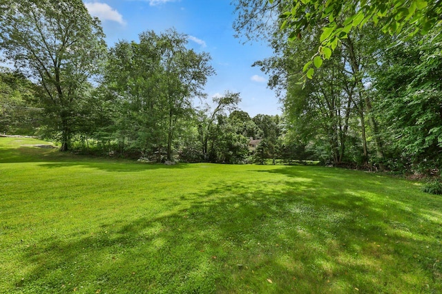 171 Tammany Hall Rd, Carmel, NY 10512 - photo 32