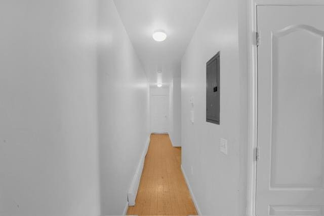 2920 Ely Ave, Bronx, NY 10469 - photo 11