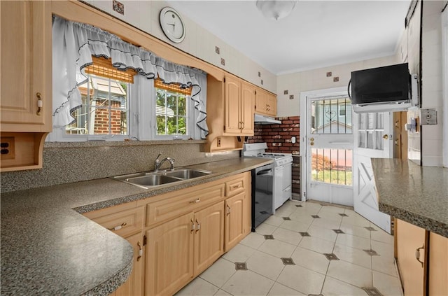 993 E 39th St, Brooklyn, NY 11210 - photo 12
