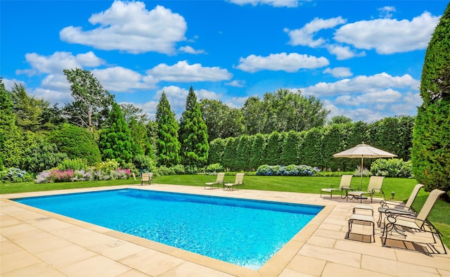107 Edgewood Ave, Bridgehampton, NY 11932 - photo 6