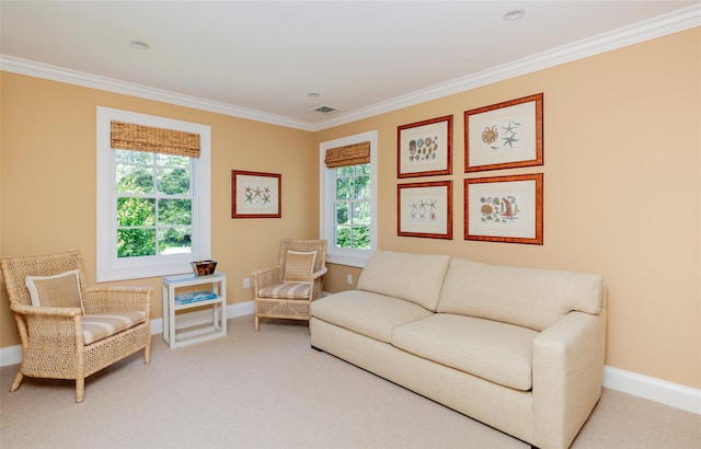 107 Edgewood Ave, Bridgehampton, NY 11932 - photo 38
